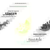 Extract din muguri de Sânger, 50 ml, Plant Extrakt