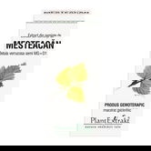 Extract din seminte de Mesteacan, 50 ml, Plant Extrakt