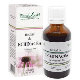 Tinctura echinacea x 50ml (PLX)