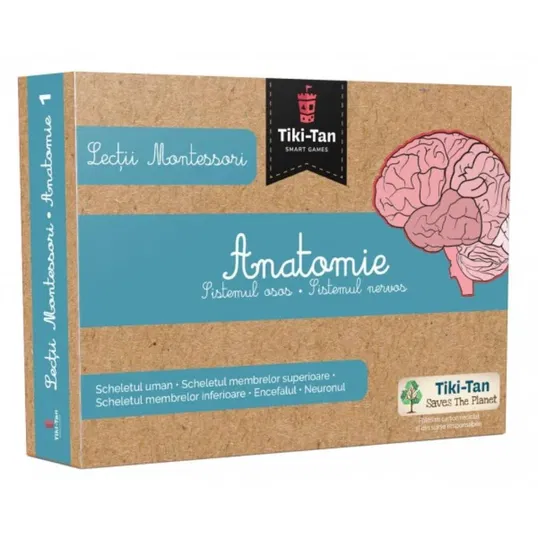 Lectii Montessori. Lectii de anatomie: Sistemul osos. Sistemul nervos