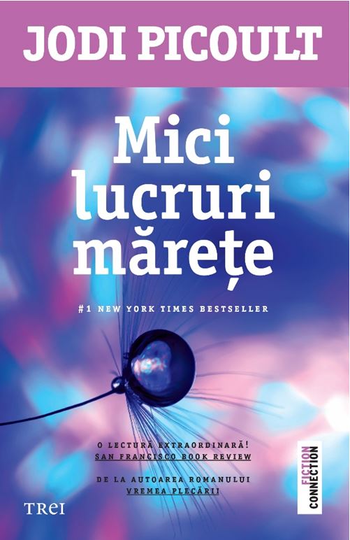 Mici lucruri marete | Jodi Picoult