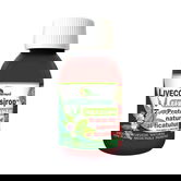 Livecom sirop fără zahăr, 100 ml, Ayurmed