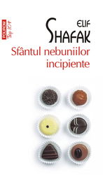Sfantul nebuniilor incipiente | Elif Shafak