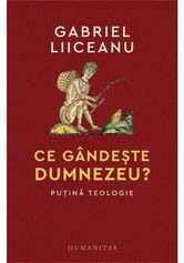 Ce gandeste Dumnezeu? Putina teologie
