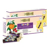 Pachet Tonic imunitate copii ApiJunior, 20 fiole + 10 fiole, Albina Carpatină