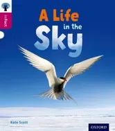 Oxford Reading Tree inFact: Level 10: A Life in the Sky, Paperback - Kate Scott