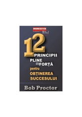 12 principii pline de forta pentru obtinerea succesului