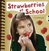 Bug Club Guided Non Fiction Year 2 Orange B Strawberries at School, Paperback - Jill McDougall