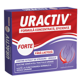 Uractiv Forte fara lactoza, 10 capsule, Uractiv
