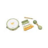 Set de instrumente muzicale, Viga, PolarB, Pasari