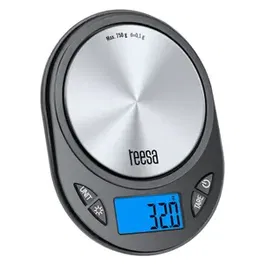 Cantar bijuterii TEESA TSA0807, precize 0.1G