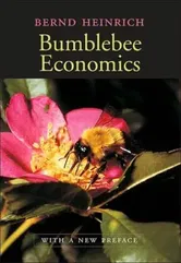 Bumblebee Economics. With a New Preface, Revised Edition, Paperback - Bernd Heinrich
