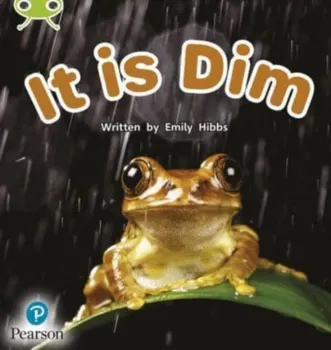 Bug Club Phonics Non-Fiction Early Years and Reception Phase 2 Unit 2 It is Dim, Paperback - Emily Hibbs