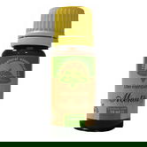 Ulei esențial de Mentă, 10 ml, Herbavit
