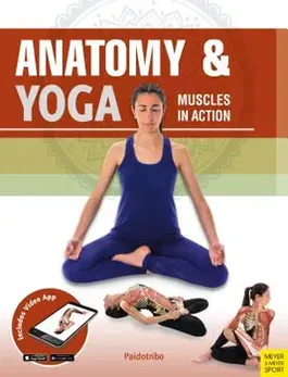 Anatomy & Yoga: Muscles in Action, Paperback - Mireia Patino Coll