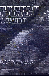 Fetele din Idlewild | Simone St. James