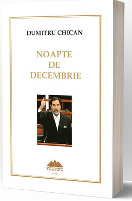 Noapte de decembrie | Dumitru Chican