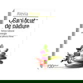 Ceai de fructe de padure, 20 plicuri, Alevia