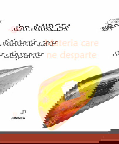 Materia care ne desparte | Ion Mircea