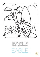 Limba engleza - Pasari (colouring book) |