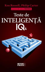 Teste de inteligenta IQ 4