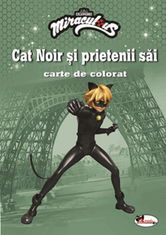 Cat noir si prietenii sai |