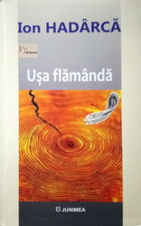 Usa flamanda | Ion Hadarca
