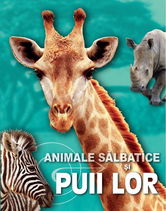 Animale salbatice si puii lor