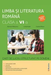 Limba si literatura romana. Caiet de lucru structurat pe domenii. Clasa a VI-a - Ramona Raducanu, Larisa Kozak, Codruta Braun