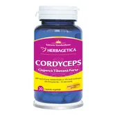Cordyceps 10/30/1, 30 capsule, Herbagetica