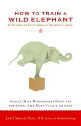 How to Train a Wild Elephant: And Other Adventures in Mindfulness, Paperback - Jan Chozen Bays