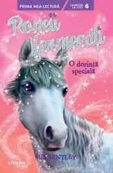 Poneii fermecatii. O dorinta speciala