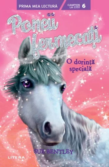 Poneii fermecatii. O dorinta speciala