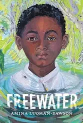 Freewater (Newbery & Coretta Scott King Award Winner), Paperback - Amina Luqman-Dawson