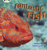 Bug Club Phonics Non Fiction Year 1 Phase 4 Set 12 Fantastic Fish, Paperback - Emma Lynch