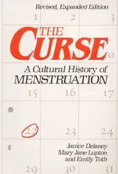 Curse. A CULTURAL HISTORY OF MENSTRUATION, Paperback - Emily Toth