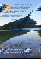 Emotii si lumina | Anisoara Laura Mustetiu