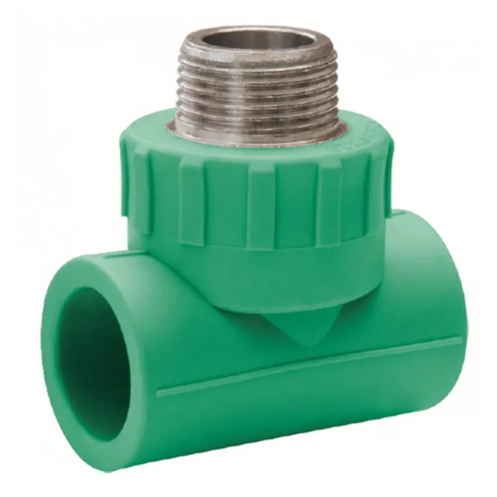 Teu PPR 25 mm Hausterm, 3/4, filet exterior, verde