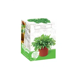 Kit rucola Yurta, plic seminte, ghiveci plastic, punguta pamant