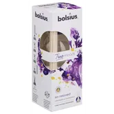 Odorizant cu betisoare Bolsius True Moods, lavanda si musetel, 45 ml