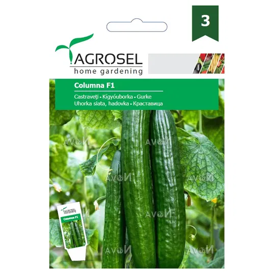 Seminte de castraveti, Agrosel Columna F1