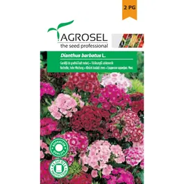 Seminte de garofita de gradina inalt melanj, Agrosel