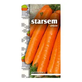Seminte de morcovi, Starsem Amsterdam 2