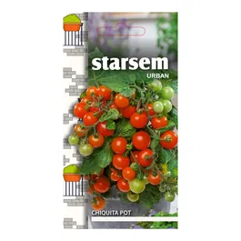 Seminte de tomate, Starsem Chiquita Pot