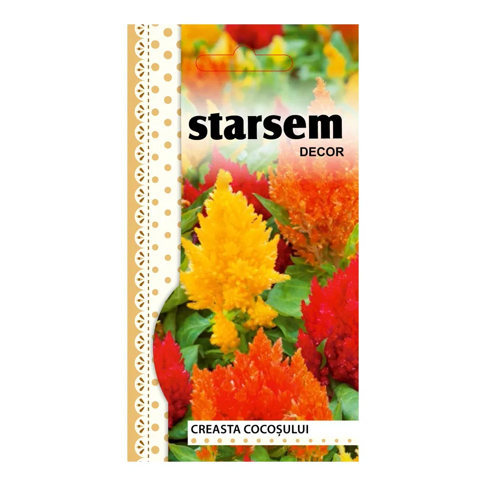 Seminte de creasta cocosului plumosa melanj, Starsem