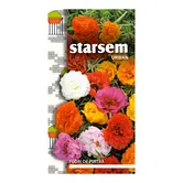 Seminte de flori de piatra dublu menaj, Starsem