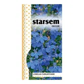 Seminte de lobelie curgatoare, Starsem
