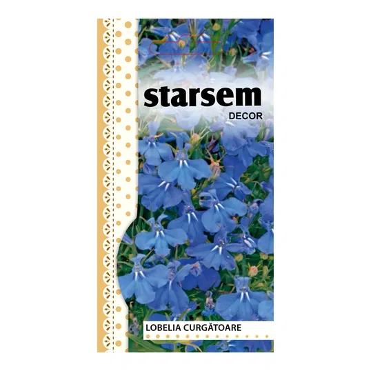 Seminte de lobelie curgatoare, Starsem