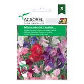 Seminte de sangele voinicului curgatoare melanj, Agrosel