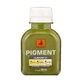 Pigment Dragon, pentru vopsea, verde maslin 21, 80 ml